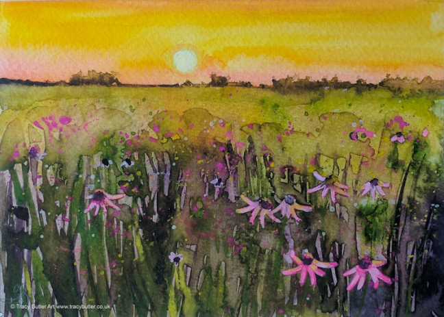 tracy-butler-sunset-on-wildflowers